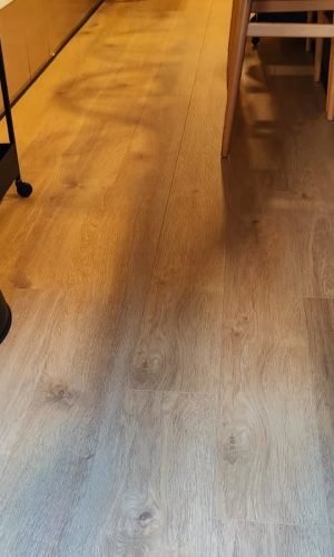 downloadgram.org_430069081_378905881747593_1563613700783556606_n